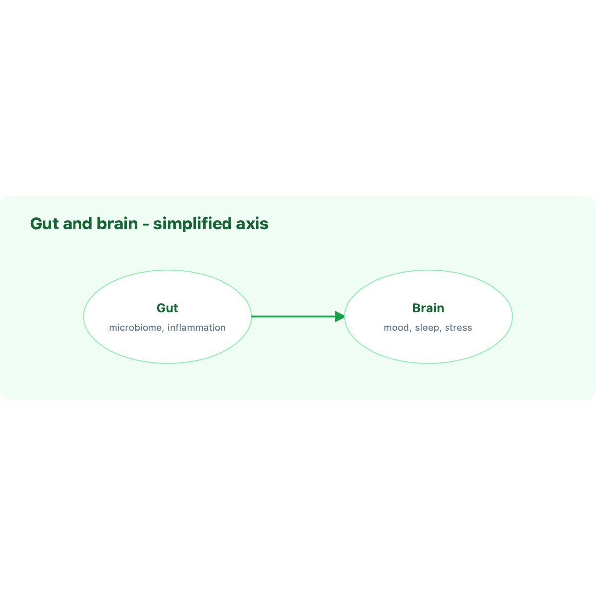 Gut-brain axis